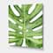 Designart - Green Monstera Leaf Tropical Palm Botanical Detail - Tropical Canvas Wall Art Print